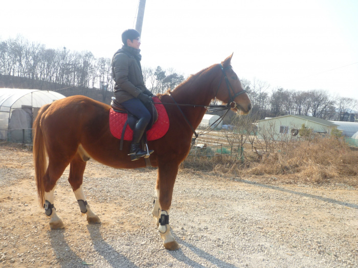 20120220230210242597.jpg