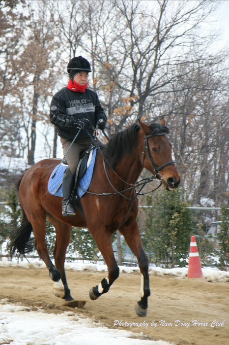20130119122152235643.jpg