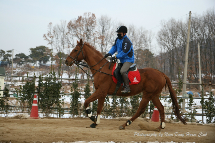 20130119122153925115.jpg