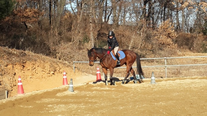 20150213_094029.jpg