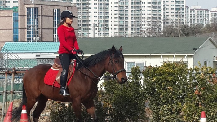 20150225_143746.jpg