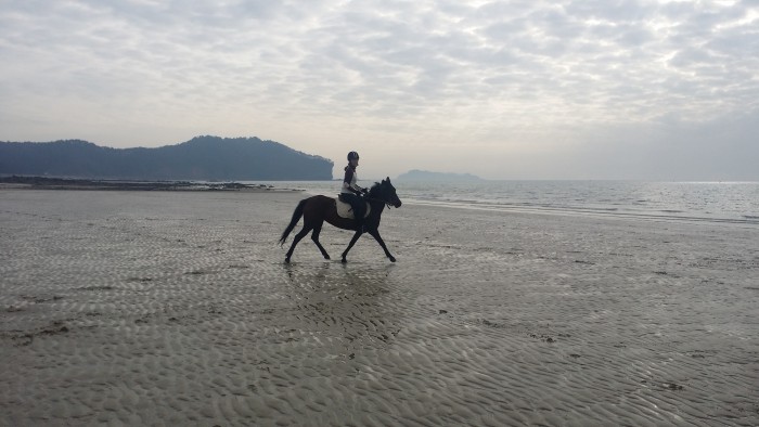 20150225_161726.jpg