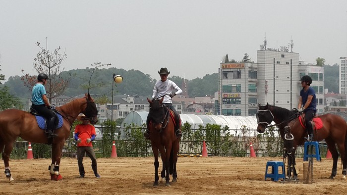 20150624_114955.jpg