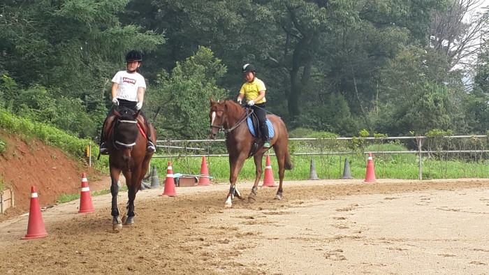 20150730_095359.jpg