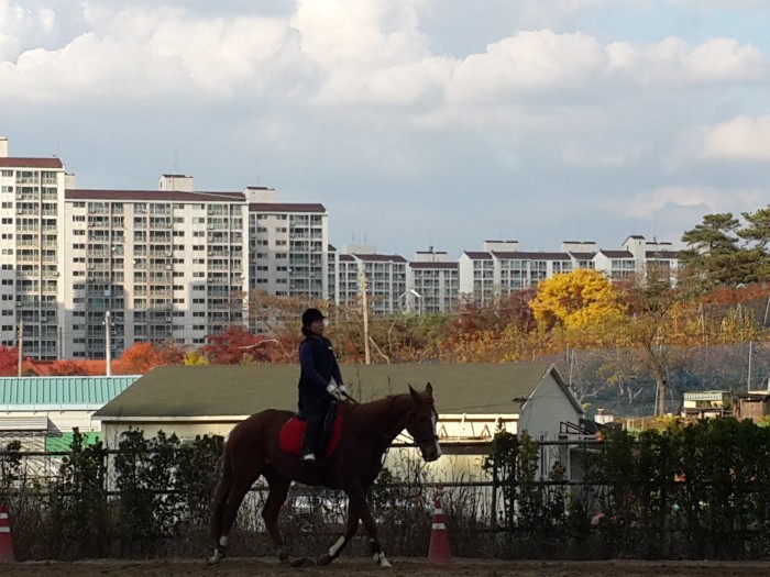 20151112_153949.jpg