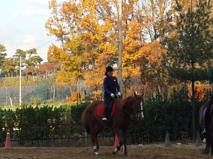 20151112_153953.jpg