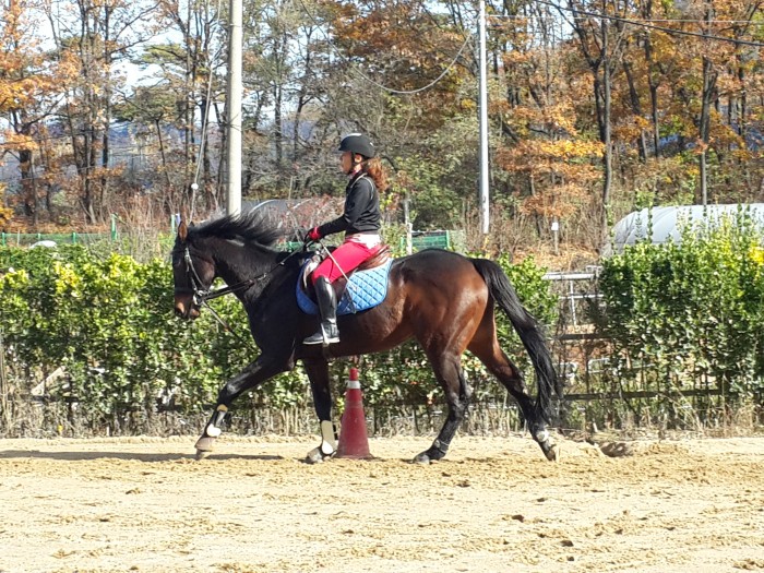 20151117_115931.jpg