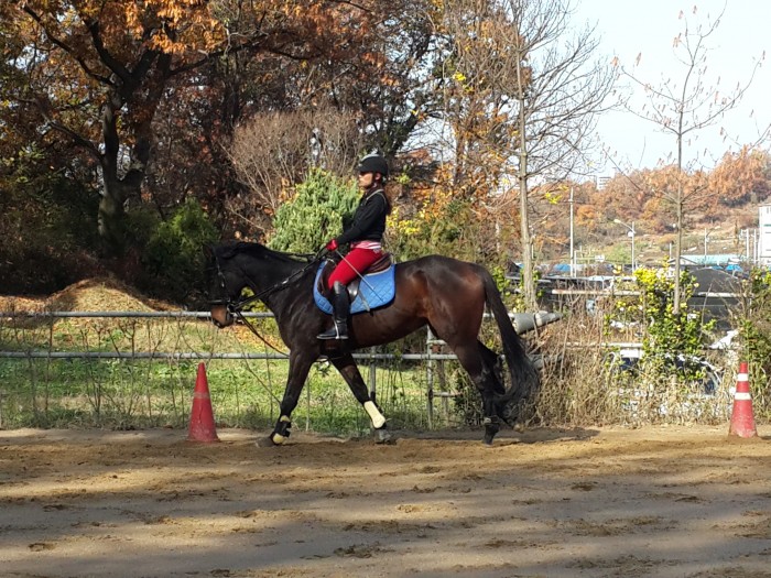 20151117_115938.jpg