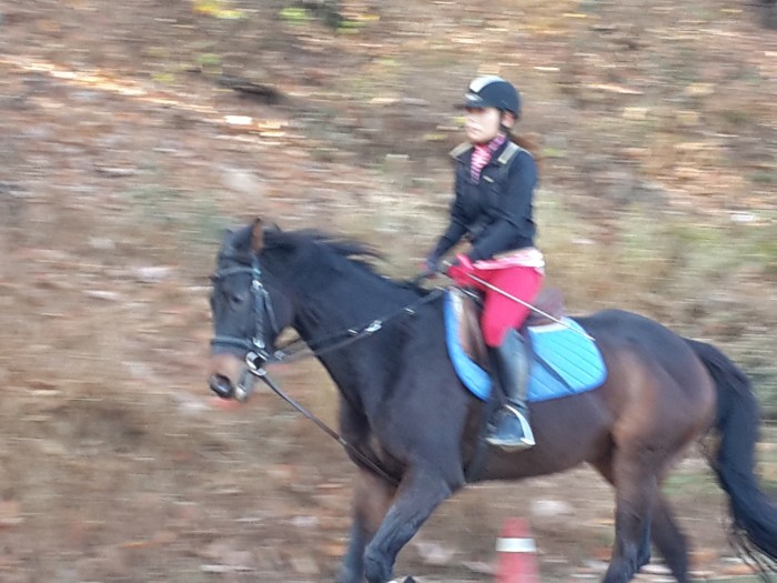 20151117_115943.jpg