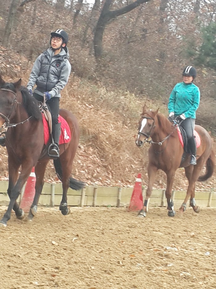 20151128_104315.jpg