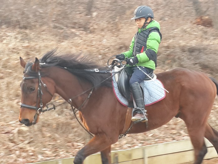 20160116_144950.jpg