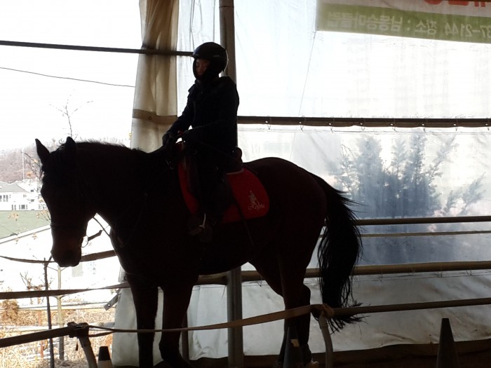 20160121_113828.jpg
