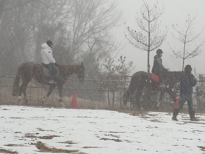 20160216_141311.jpg