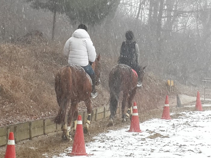 20160216_141402.jpg