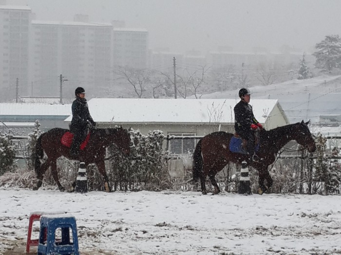 20160228_165824.jpg